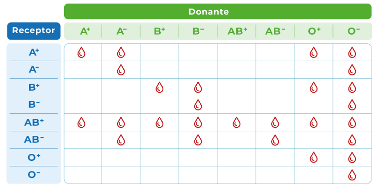 Tabla de donante y receptor